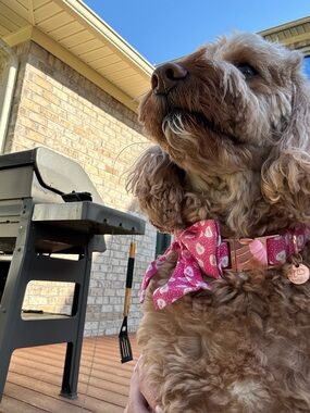 Meet your Posher, Fiona